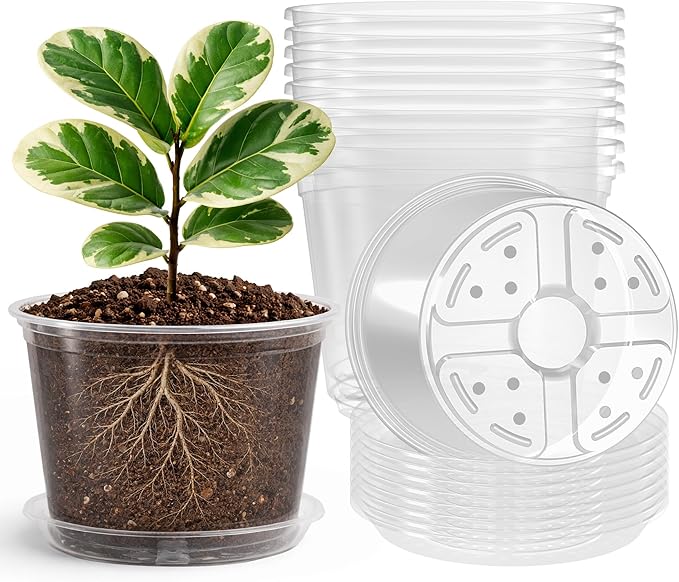8 Packs 8 Inch Reinforced Large Clear Nursery Pots with Sacuers, Transparent Plastic Plant Pot Seedling Planter with Drainage Holes for Vegetable Propagation, Root Cutting, Seed Starting Bluepro