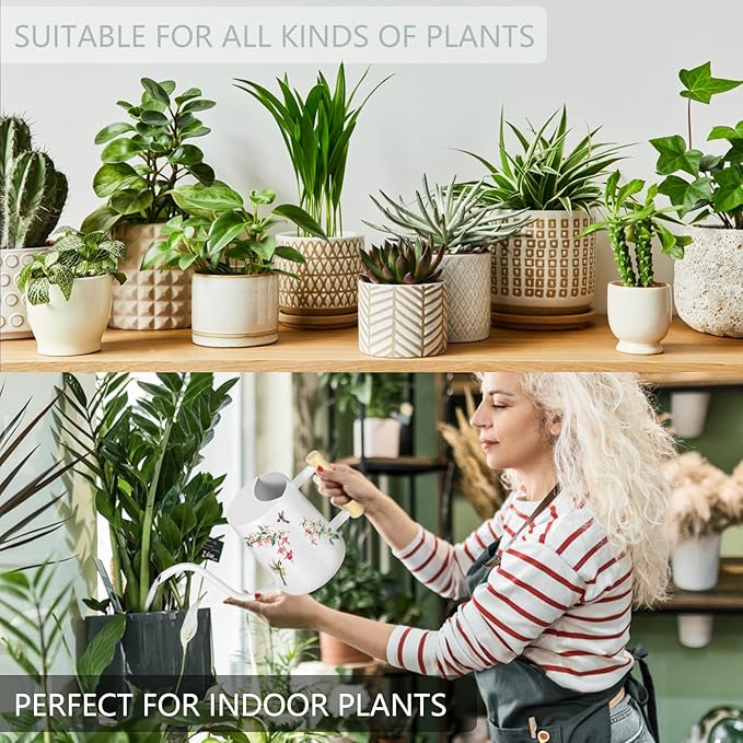 Watering Can Indoor Plants, 35oz Small Stainless Steel Metal Watering Can Modern Decorative Watering Pot with Long Spout for Indoor House Plant Bonsai Garden Flowers (White 1) GUKJOB