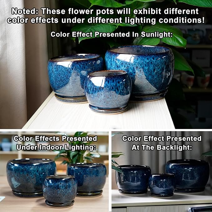 SQOWL 6 Inch Plant Pot - Ceramic Planter Pot with Drainage Hole and Saucer, Succulent Pot Round Flower Pot for Indoor Plants Outdoor, Blue SQOWL