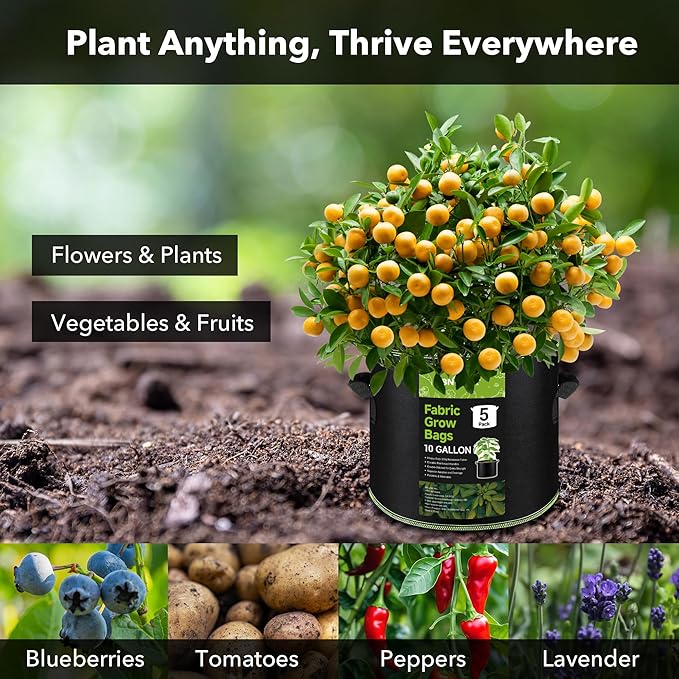 BN-LINK 5-Pack 10 Gallon Grow Bags, Heavy Duty Aeration Fabric Pots with Handles, Thickened Nonwoven Plant Bags for Vegetables, Flowers, Fruits BN-LINK