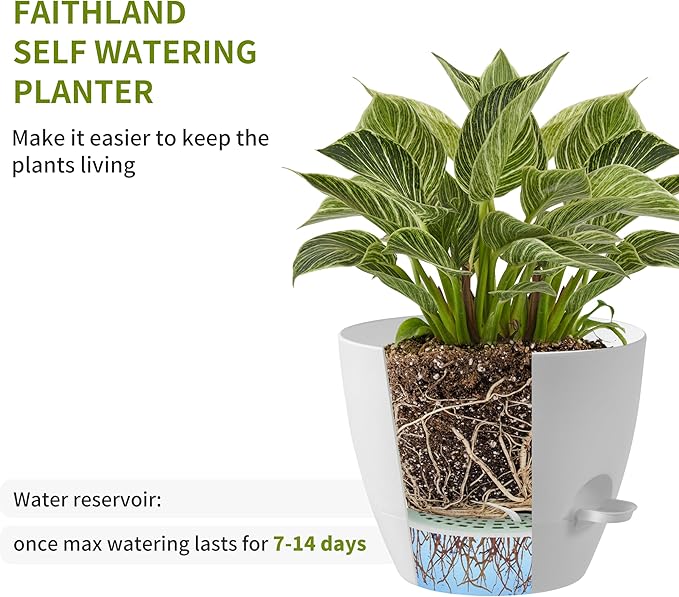 FaithLand 3-Pack Large Planter Pots, 12 10 9 Inch Self Watering Flower Pots for Indoor Outdoor Garden Plants, White with Brown FaithLand