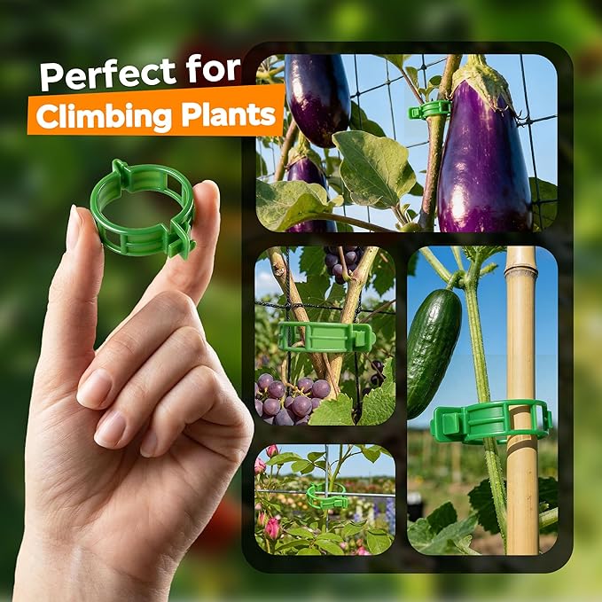 100pcs Tomato Clips for Climbing plants, Plastic Trellis Plant Support Clips for Garden, Reusable Clips for Supporting Grape Tomato Vine and Vegetables Plants to Grow Upright Makes Plants Healthier LOOHOI