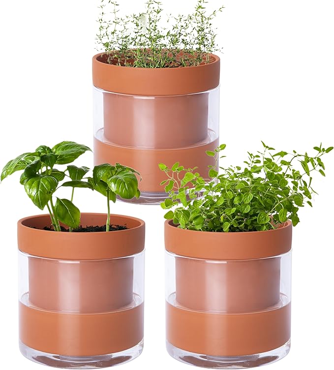 Phoenix Vine 4 Inch Self Watering Planter Pot, Terracotta Clay Pot with Glass Reservoir for Indoor Plants, Herbs, Flowers, Set of 3, 52-A-E-3 Phoenix+Vine