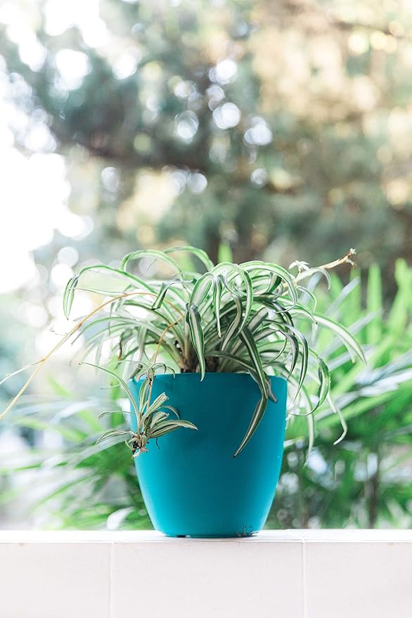 GARDENIX DECOR Self Watering Pots for Indoor Plants 3 Pack - Flower Pot with Water Level Indicator for Plants, Grow Tracking Tool - Self Watering Planter Plant Pot - Coco Coir - Teal Rootora