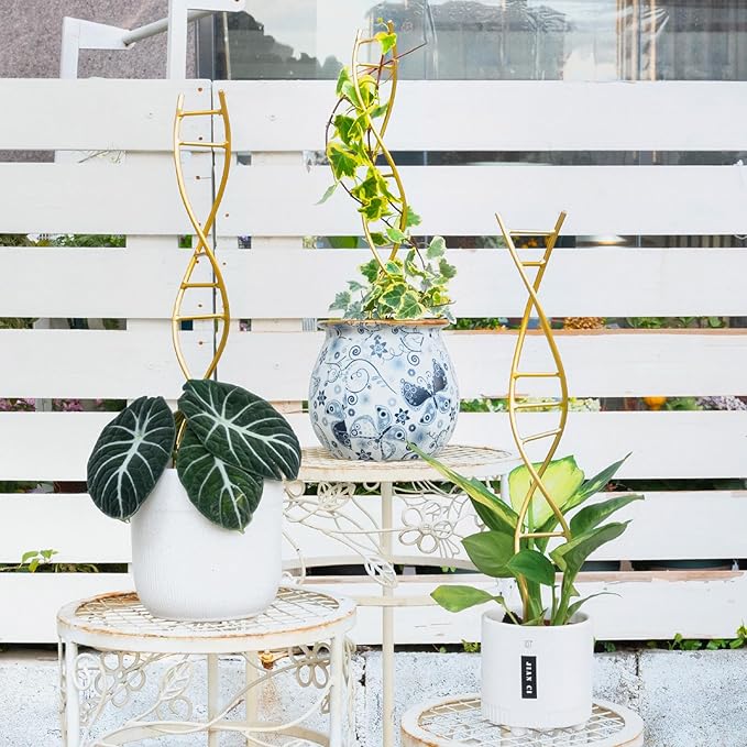 3PCS DNA Plant Trellis Indoor and Outdoor - Lightweight Metal Trellis for Potted Plants, Hoya & Pothos Climbing Support, Artistic Geometric Design, Durable & Easy Installation Yohsnor