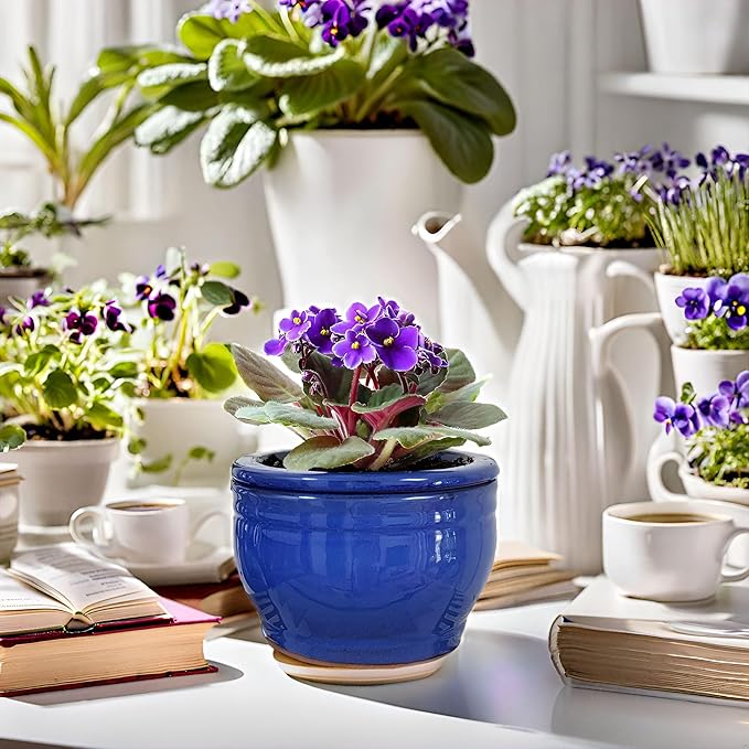 African Violet Pots Self Watering Round Ceramic Violet Pot (Blue, 6 inch) Dphagesy