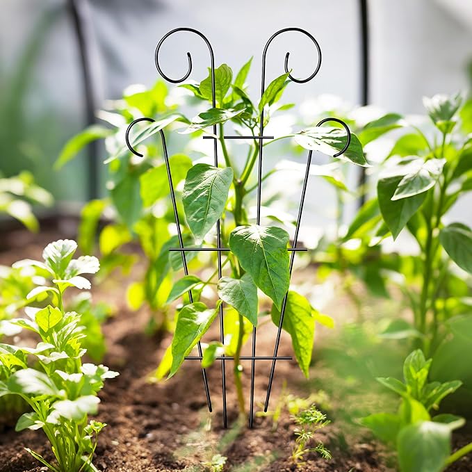 4 Pack 43'' Indoor Plant Trellis for Potted Plants Climbing, Outdoor Metal Garden Trellis Houseplants Flowers Vine Ivy, Wave Shape, Black ThealynGardens