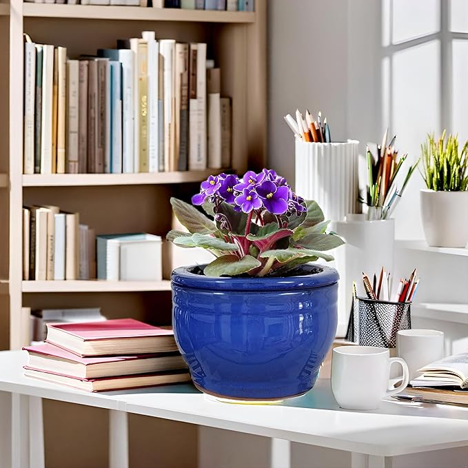 African Violet Pots Self Watering Round Ceramic Violet Pot (Blue, 6 inch) Dphagesy