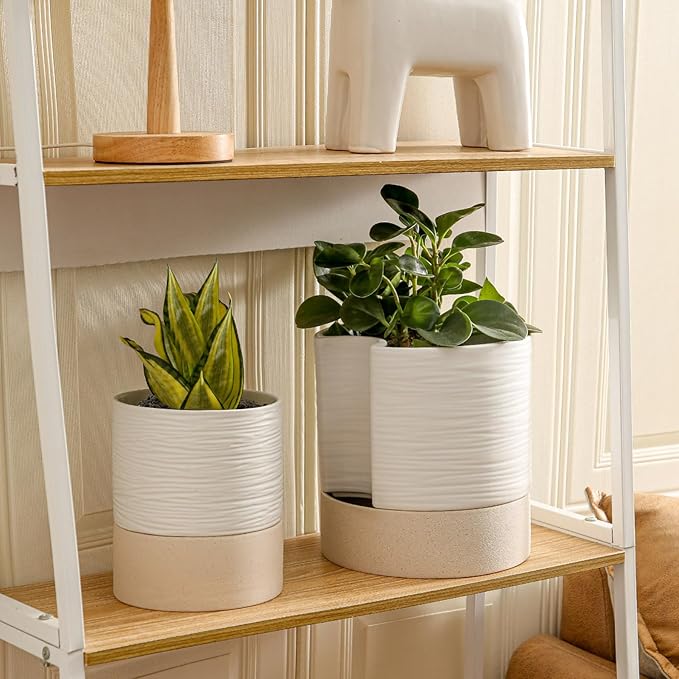 Nihow Self Watering Plant Pot: 8 Inch Ceramic Planter with Drainage Hole & Water Storage Plus for Indoor & Outdoor Plants - Cylinder Round Flower Pot for Succulent/Herbs/Violets - White & Brown Nihow