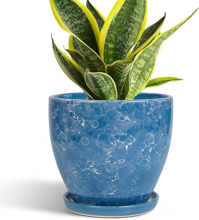 6 Inch Ceramic Plant Pot - Ceramic Planters with Drainage Hole and Saucer, Round Decorative Planter, Modern Planters for Indoor Outdoor Plants, Desk Office Decor, Housewarming Gifts, Blue EPFamily