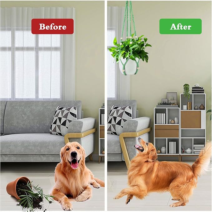 Augshy Macrame Plant Hangers Green Hanging Planters for Indoor Outdoor Home Decor, Hanging Plant Holder No Tassels Set of 2 with 4 Hooks Augshy