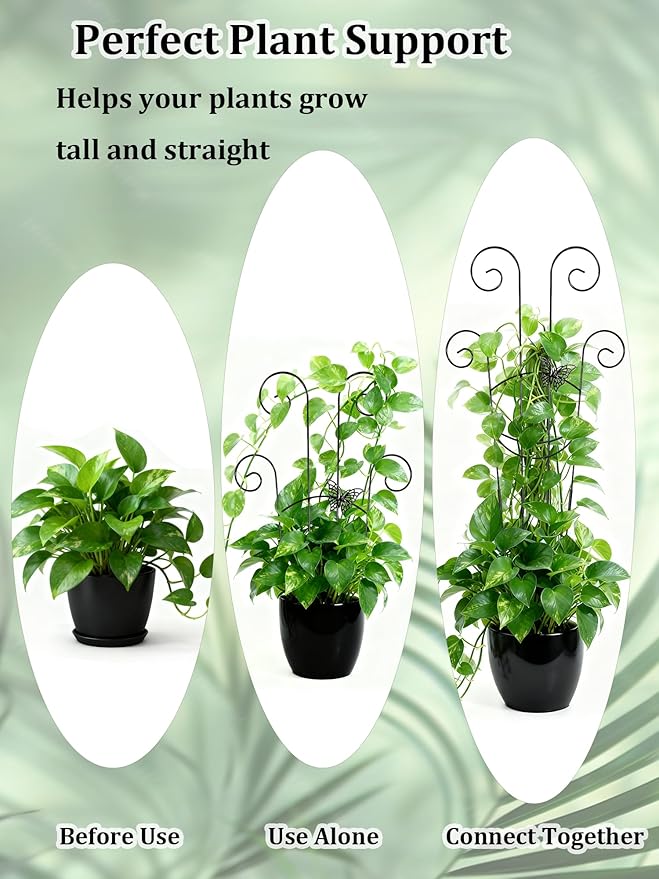 2 Pcs Tall Trellis for Potted Plants, 30'' Expandable Butterfly Shape Garden Trellis for Climbing Plants Indoor, Plant Pothos Climber Support for Monstera, Ivy, Hoya, Vine (Black) Rootora