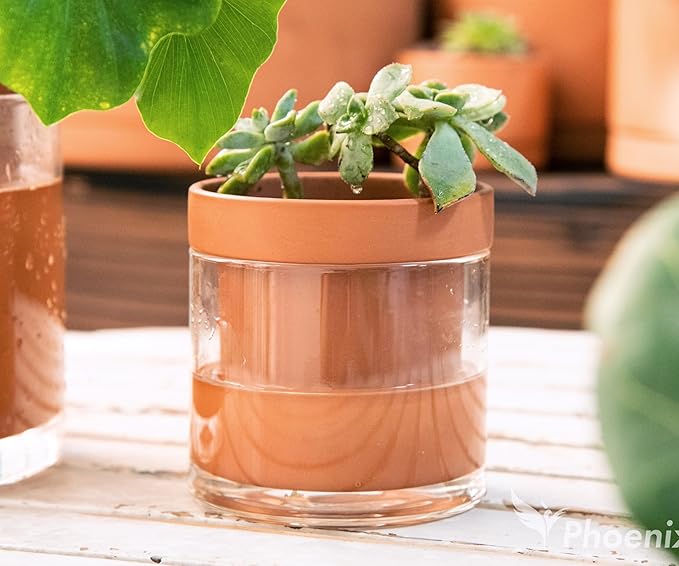 Phoenix Vine 4 Inch Self Watering Planter Pot, Terracotta Clay Pot with Glass Reservoir for Indoor Plants, Herbs, Flowers, Set of 3, 52-A-E-3 Phoenix+Vine