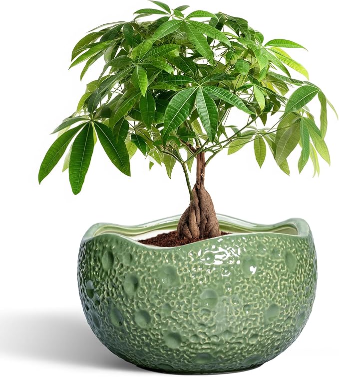 Ceramic Pots for Plants - 10 Inch Plant Pot for Indoor Outdoor, Round Bonsai Pots with Drainage Hole, Modern Planter, Decorative Flower Pot, Living Room Decor, Gifts for Plant Lovers, Green Thirtypot
