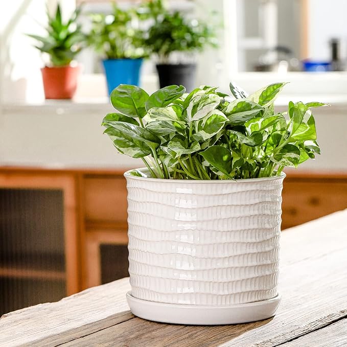 8 Inch Plant Pot: Ceramic Planter with Drainage Hole & Saucer for Indoor Outdoor Plants - Flowerpot with Bonded Tray for Home Office - Wave Embossed Chubacoo