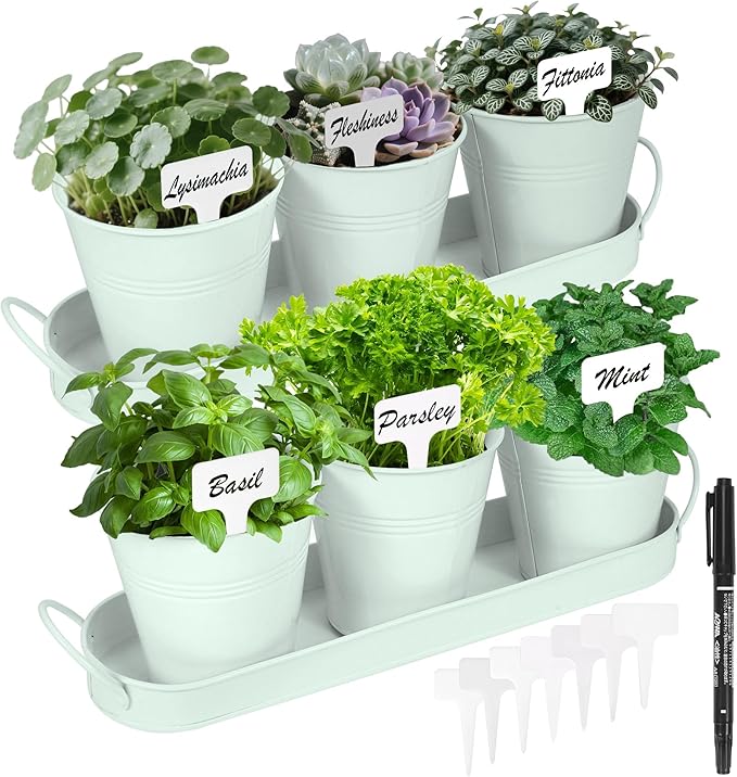 Herb Garden Planter Indoor Kit – 6 Metal Pots with 2 Trays for Windowsill & Kitchen Counter – Modern Decorative Indoor Planters for Herbs, Succulents & Small Plants, Mint Wacloud