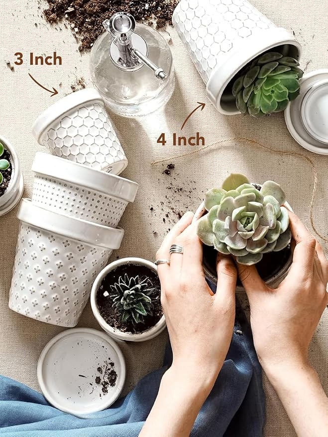 LE TAUCI Ceramic Succulent Pots, 4 Inch Small Plant Pot for Indoor Plant Cactus, Embossed Flower Pots with Drainage Hole & Saucer - Set of 4, Arctic White LETAUCI