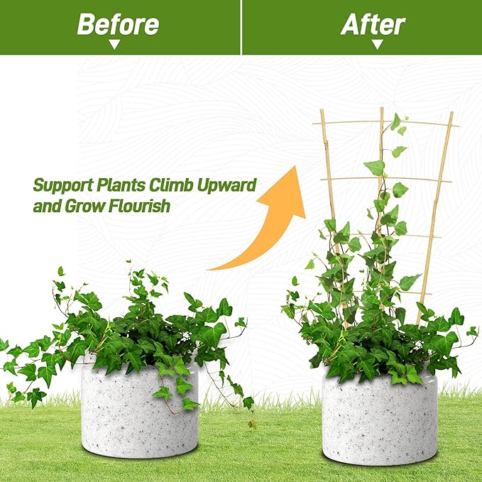 Avalution 10 Pack Bamboo Trellis for Climbing Plants, 2 FT Garden Ladder Trellis for Potted Plants Indoor, Fan-Shaped Small Plant Support Trellis for Houseplants Ivy Hoya Vine Monstera Avalution