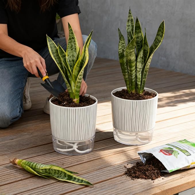 6 Pack Self Watering Pots for Indoor Plants, Flower Planters with Wick Rope & Reservoir, 4" + 5.5" Plastic Pots for African Violet, Orchid, Succulent, Herbs Rootora