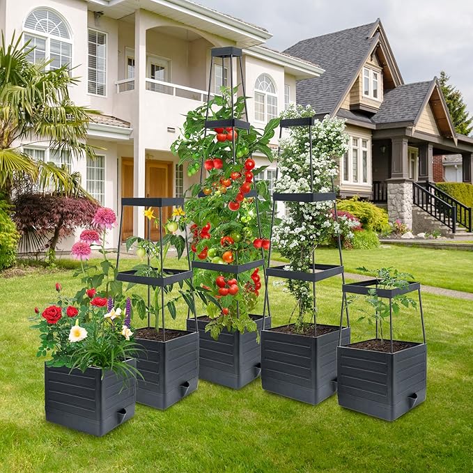 MQUPIN Tomato Planter Box with Trellis for Garden, 57 Inch Self-Watering Raised Garden Bed, Patio Tomato Cage for Climbing Vegetables & Flowers, Upgraded Tomato Pot for Indoor Outdoor Use (2 Pack) MQUPIN