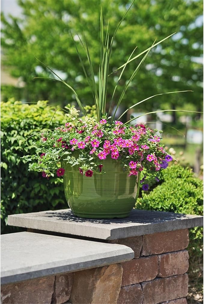 Garden Elements Indoor/Outdoor Glazed Brushed Happy Plastic Planter, Large, Dark Green, 15" GardenElements