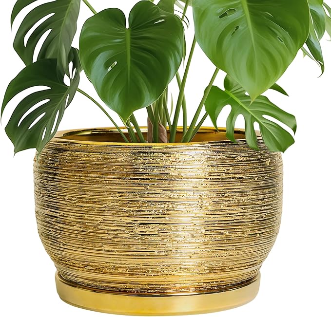 SQOWL Ceramic Planter for Indoor Plants - 10 Inch Plant Pot with Drainage Hole and Saucer, Modern Round Planter Outdoor, Large Decorative Flower Pot, Apartment Decor, Birthday Gifts, Gold SQOWL