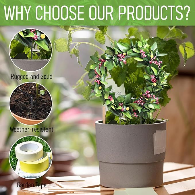 2 Pack Round Plant Trellis for Indoor Potted Plants, Acrylic Small Trellis for Climbing Plants Indoor Outdoor Plant Support for Hoya Pothos Vine Ivy Monstera Flower Philodendrons Dischidia Tyqour