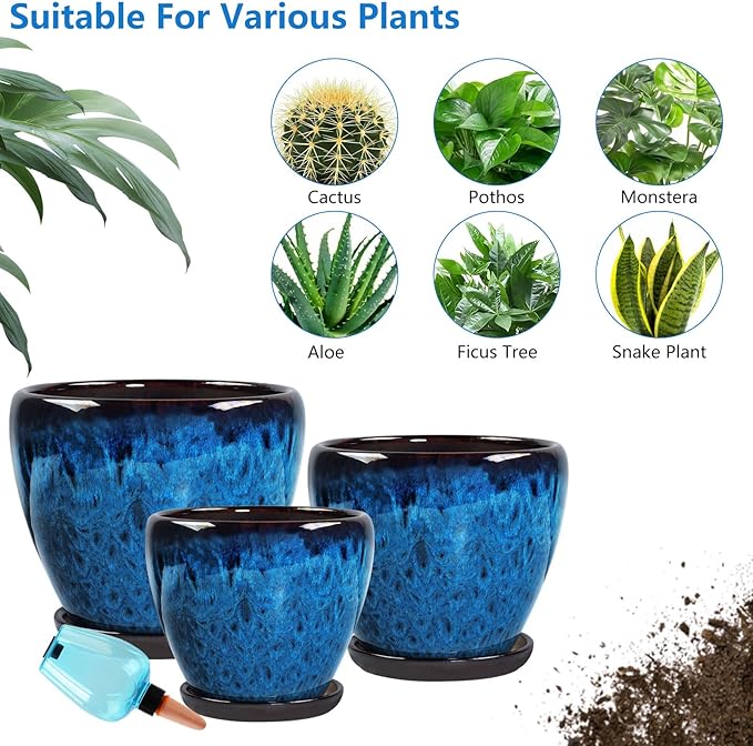 Ceramic Pots for Plant with Self Watering Globes, 8 inch Planters for Indoor Plants with Saucer, Glaze Flower Pots Outdoor with Drainage Holes, Decorative Garden Pots Xoogifae