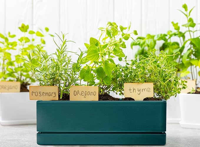 D'vine Dev 12 Inch Window Box Planter, Rectangle Plastic Herb Planter with Drainage Holes and Saucer, Indoor Succulent Cactus Vegetable Pot for Windowsill, Garden Balcony, Green, Set of 1, 76-X-C-1 DvineDevPlanterPotsandStand