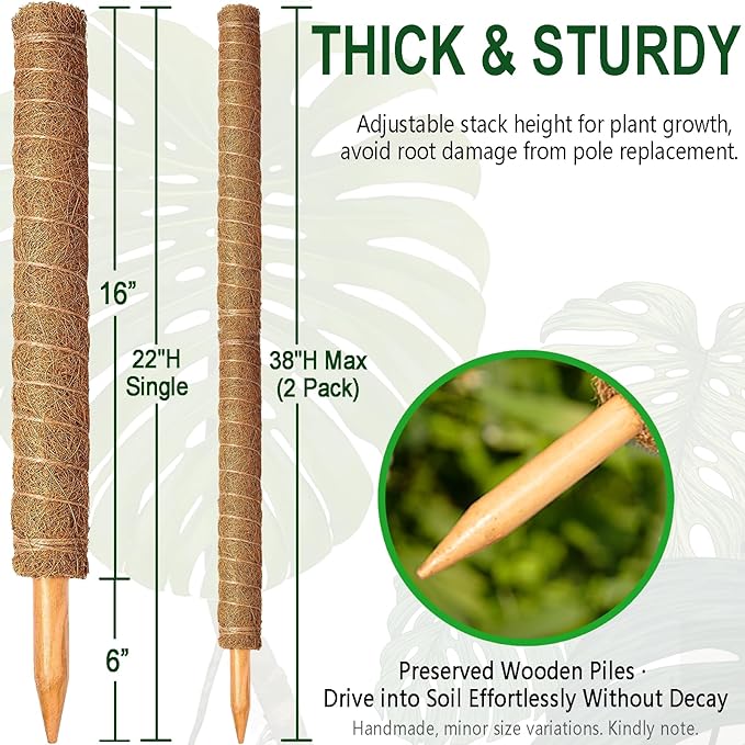Soupiar 2 Pack 22 Inch Stackable Moss Pole - Thick & Sturdy Natural Coir Totem Plant Support & Garden Stakes for Monstera & Pothos, Indoor Climbing Vining Houseplants, 38”H Max Soupiar