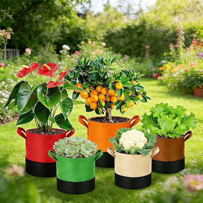 3 Gallon Fabric Grow Bags 5-Pack, 350G Heavy Duty Nonwoven Plant Pots with Handles, Breathable Root Pruning Containers for Vegetables Flowers Indoor Outdoor Gardening Fhyisble