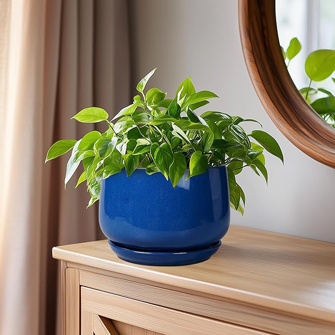 G EPGardening 6 Inch Plant Pot - Round Ceramic Planter Indoor with Drainage and Ceramic Saucer for Flower, Modern Desk Decor, Modern Garden Gift, Blue GEPGardening