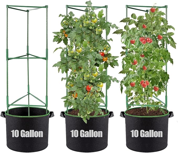 ANPHSIN 3 Sets Tomato Cages with 10 Gallon Grow Bags - 48" Stable Plant Garden Planter, Flowers Vegetable Trellis Pots for Tomato Vertical Climbing Plants Vines ANPHSIN