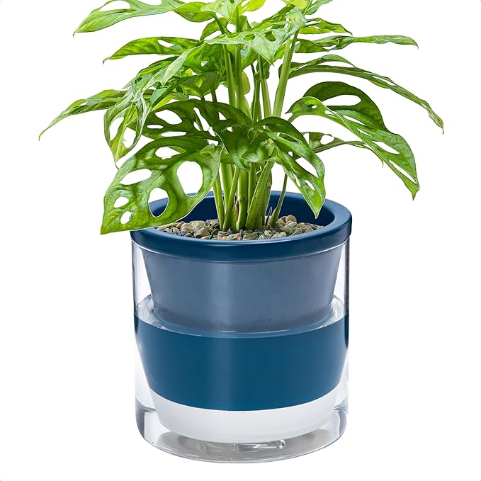 D'vine Dev 6 Inch Design Self Watering Planter for Indoor Plants, Blue Terracotta Pot with Cylinder Glass Cup, 37-X-B-4 DvineDevPlanterPotsandStand