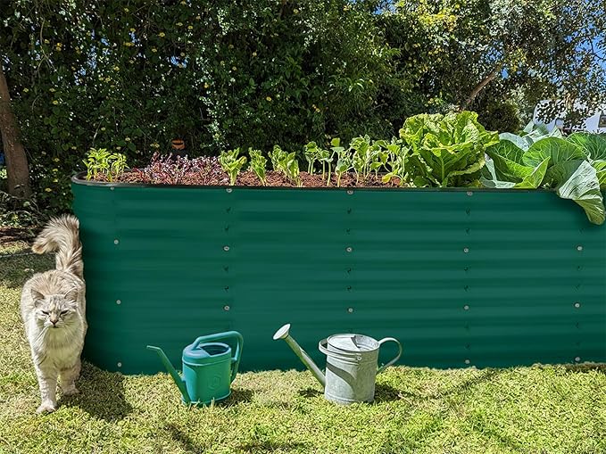 Plant & Plot Galvanized Raised Garden Beds Outdoor // 8×2×2 ft Planter Raised Beds for Gardening, Vegetables, Flowers // Large Metal Garden Box (Dark Green) // Patented Tool-Free Design PlantPlot