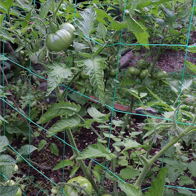 Trellis Netting for Climbing Plants - Heavy Duty Garden Trellis Netting for Cucumber, Vine, Fruits & Vegetables Tomato Plants Trellis Net, Climbing Vining Plants (1-Pack 16.4' x 6.6'Ft) Miuezuth
