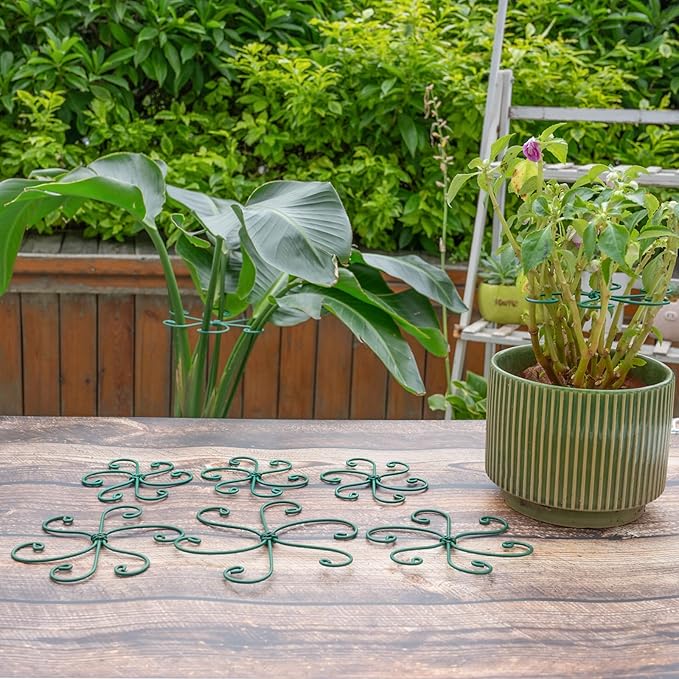 Monstera Plant Stem Support - 5 Pack 6.5"x6.5" Green Metal Stem Stabilizers, Adjustable Ring Clamps for Indoor Plants, Fishbone Cactus, Turtle Shell Bamboo & Climbing Vines Yohsnor