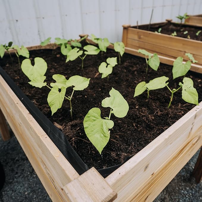 Backyard Expressions 48"x34" Raised Garden Bed - Elevated Wood Planter Box for Healthy Plant Growth, 440 lb Capacity - Natural Color BackyardExpressions