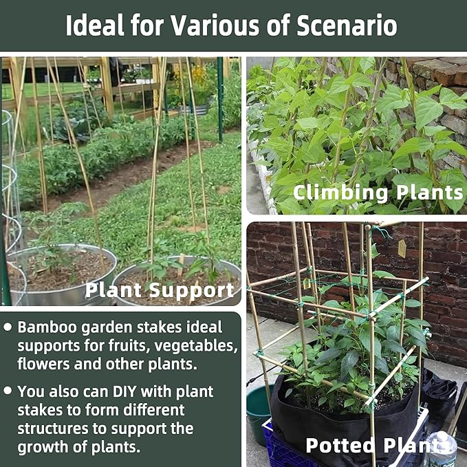 50Pcs / 2ft Bamboo Plant Stakes for Indoor Outdoor Plants, Garden Plant Support Sticks, Poles for Tomato Vegetables Beans Trees Potted Climbing Plants(0.32'') Avalution