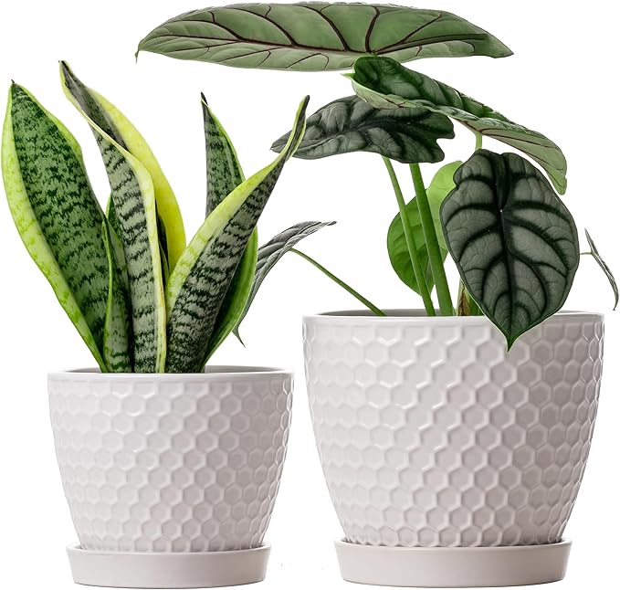 Docrin Ceramic Plant Pots Set of 2 (6.6"+5.5"), High-Fired Clay Indoor Planters with Drainage Holes & Saucer, Honeycomb Modern Home Decor for All House Plants DOCRIN