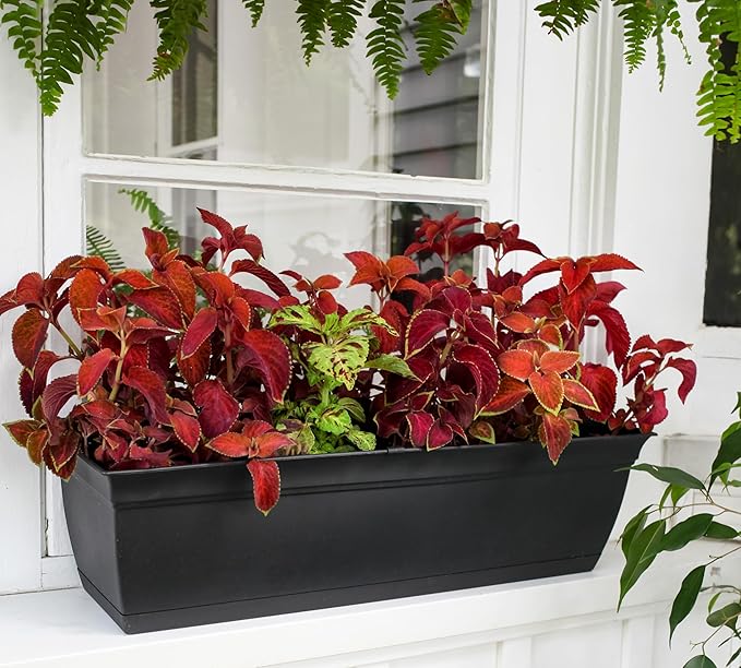 The HC Companies 30 Inch Eclipse Window Planter Box with Drainage Holes & Attached Saucer, Lightweight UV-Resistant Plastic Indoor & Outdoor Planters, 2-Pack Flower Box for Garden & Home Decor, Clay TheHCCompanies