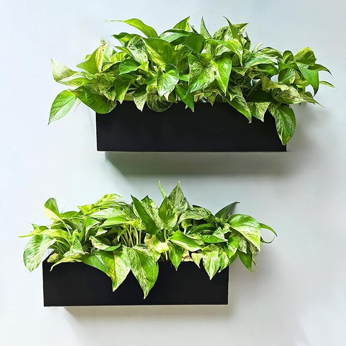 LaLaGreen Wall Planter (16 Inch, 2 Pack) Rectangular Metal Hanging Flower Pot for Succulents Carbon Steel Black, Long Window Sill Box Modern Fence Floating Garden Shelf for Deck Indoor Outdoor Decor L%C3%A1L%C3%A1Green