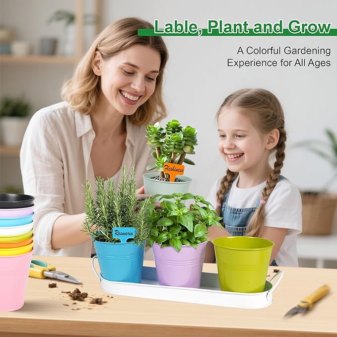 Herb Garden Planter Indoor Kit – 6 Metal Pots with 2 Trays for Windowsill & Kitchen Counter – Modern Decorative Indoor Planters for Herbs, Succulents & Small Plants Wacloud