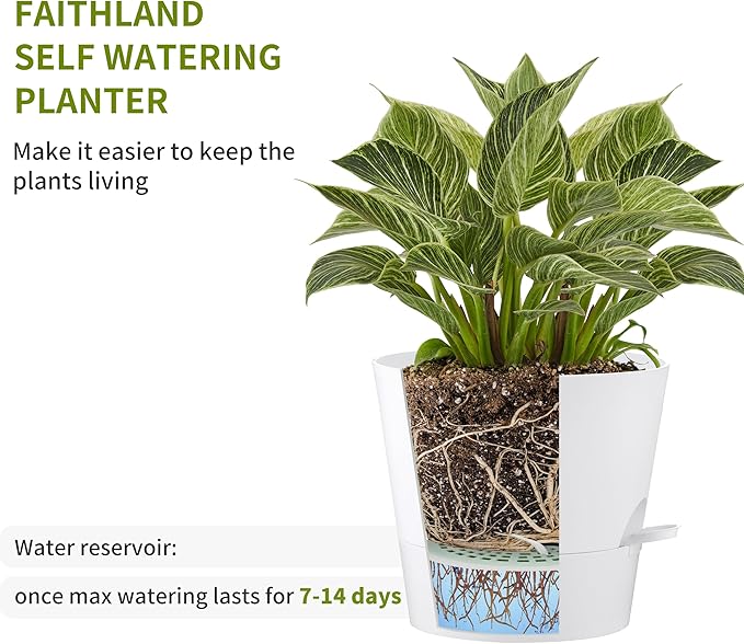 FaithLand 2-Pack 10 Inch Planter Pots for Indoor Outdoor Plants, Self Watering Flower Pots with Deep Reservoir, White with Terracotta … FaithLand