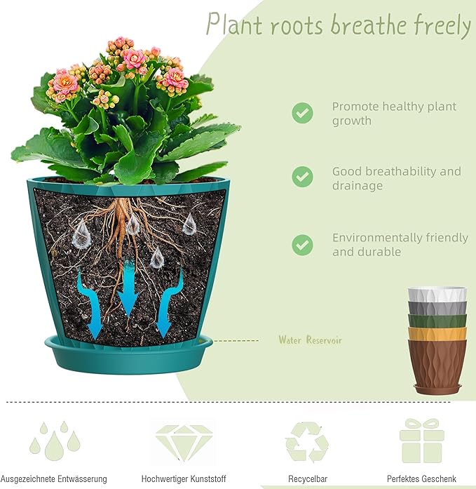 6 Inch Plant Pots, 6 Pack Indoor Flower Pots, Planters with Drainage Holes and Trays for Orchids, Violets, Succulents, Herbs, and Other Plants,Corolful SQKH