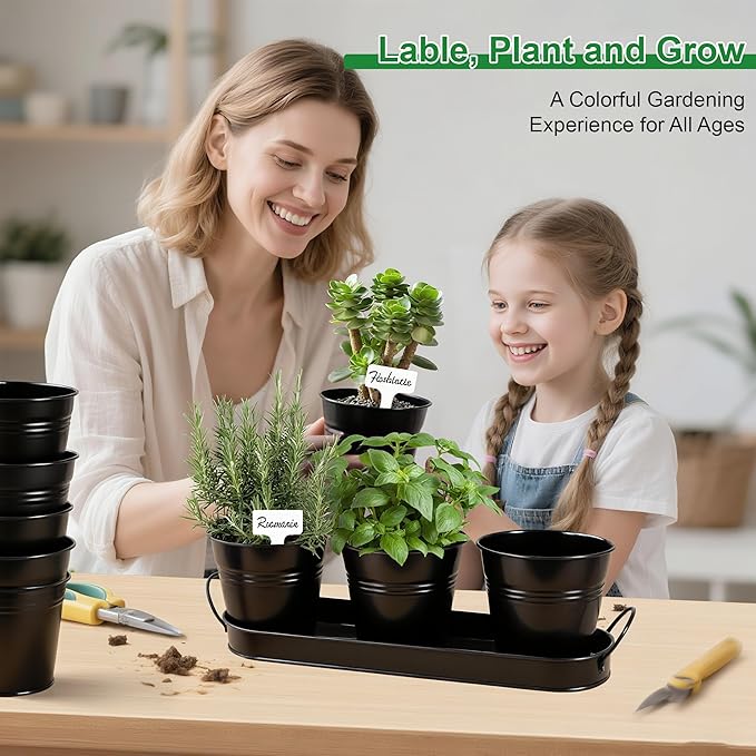 Herb Garden Planter Indoor Kit – 6 Metal Pots with 2 Trays for Windowsill & Kitchen Counter – Modern Decorative Indoor Planters for Herbs, Succulents & Small Plants, Black Wacloud