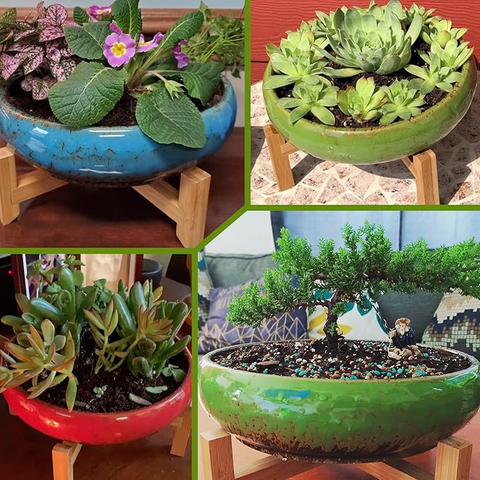 ARTKETTY Succulent Pot, 10 Inch Large Succulent Planter Pot with Stand, Ceramic Bonsai Pot with Mess Drainage Screen Shallow Cactus Flower Pot for Indoor/Outdoor Plants ARTKETTY