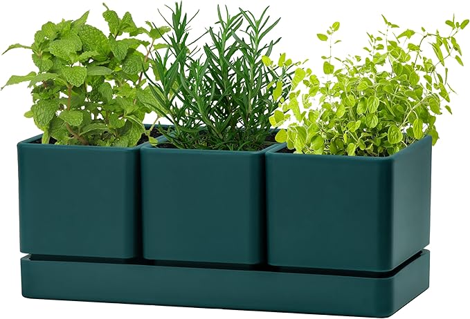 D'vine Dev Herb Garden Planter Set, Plastic Plant Pots with Drainage and Saucer, Indoor Succulent Cactus Vegetable Pot for Windowsill, Garden Balcony, Green, Set of 1, 76-V-C-1 DvineDevPlanterPotsandStand
