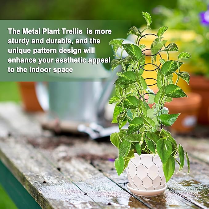 17.5 Inch Plant Trellis Indoor for Climbing Plants,Metal Trellis,Small Garden Trellis for Potted Plants,Plant Stakes for Indoor Plants Accessories Hoya,Flower,Plant Support,Plant Gifts(Circular-Metal) OYOEETD