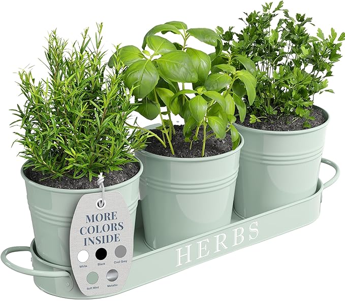 Barnyard Designs Indoor Herb Garden Planter Set with Tray, Metal Windowsill Plant Pots with Drainage for Outdoor or Indoor Plants, Set/3 (Soft Mint) BarnyardDesigns